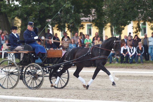 Laendliche_Impressionen_16_klein