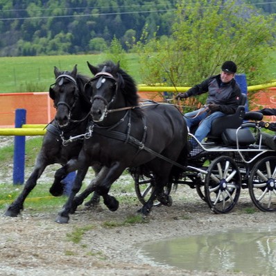 Gespannfahren