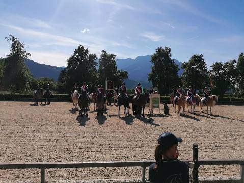 Mehr zu: Salzburger Meisterschaften für Haflinger und Noriker am 21. & 22. Mai 2022