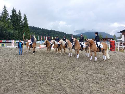 Mehr zu: Haflinger Bundesmeisterschaften in Seefeld